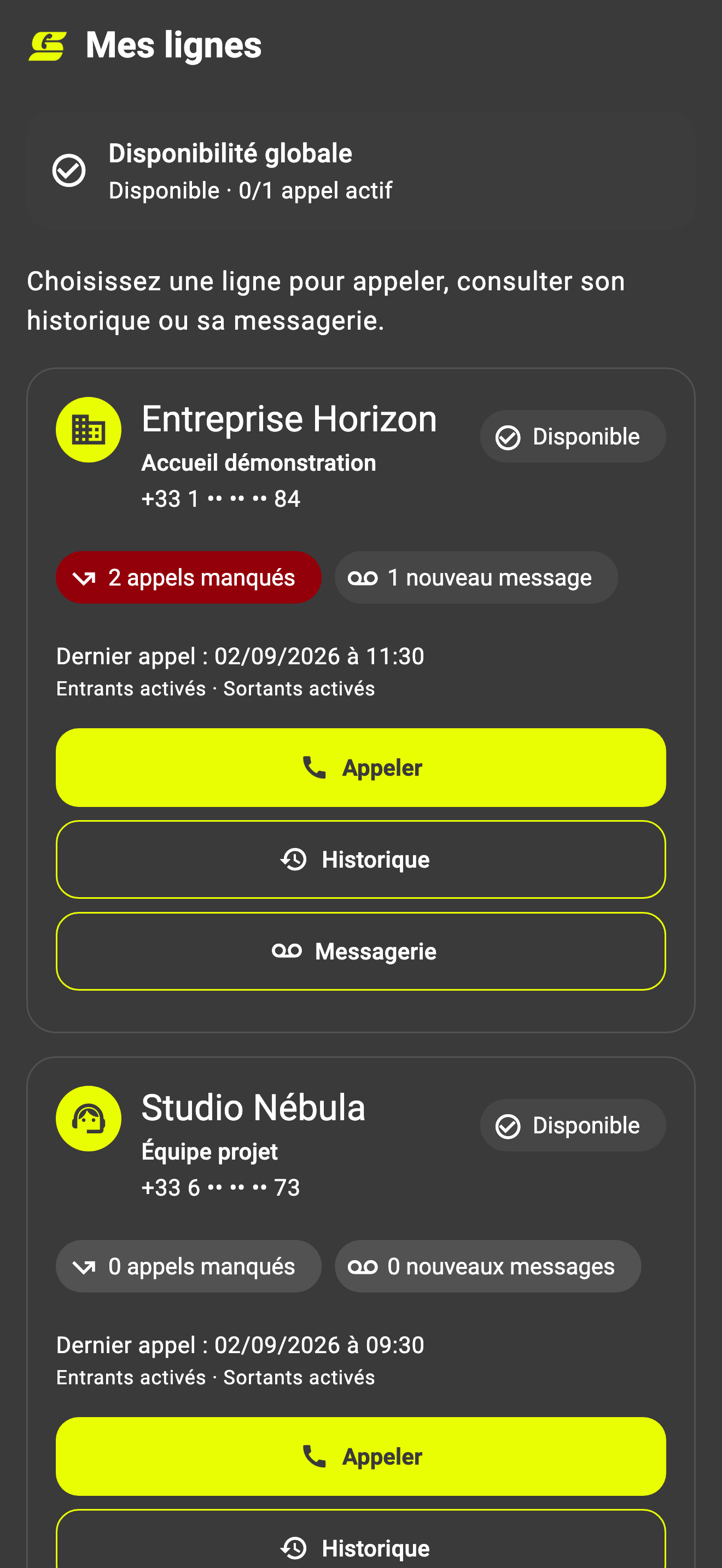 Tableau de bord Siring sur iPhone avec des lignes professionnelles de démonstration
